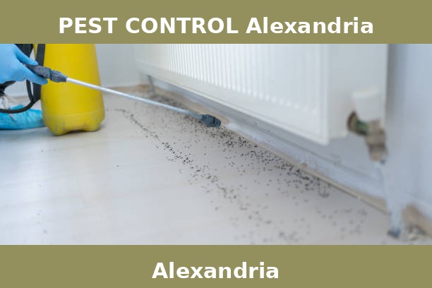 PEST CONTROL Alexandria
